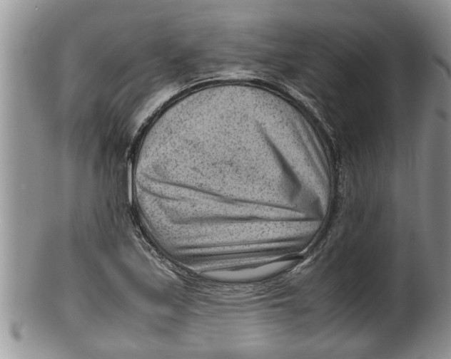 X0000100191171200806201351