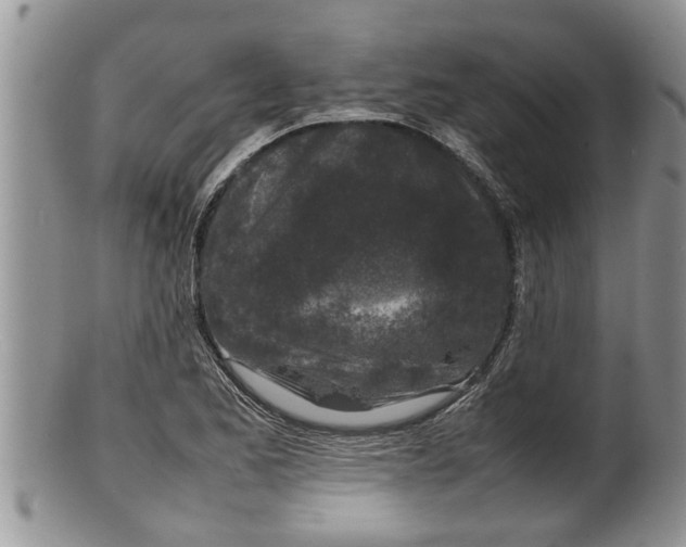 X0000100191173200806201351