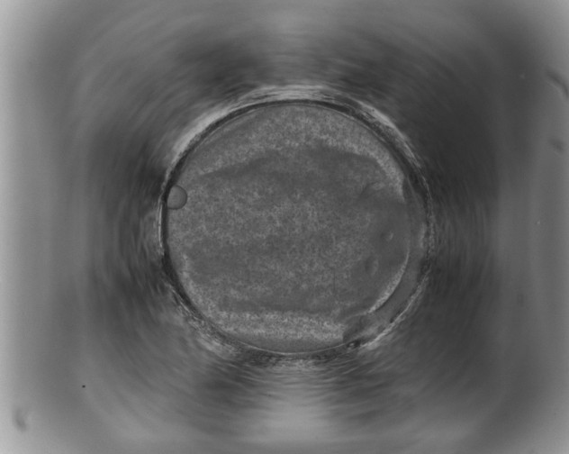 X0000100191174200806201351