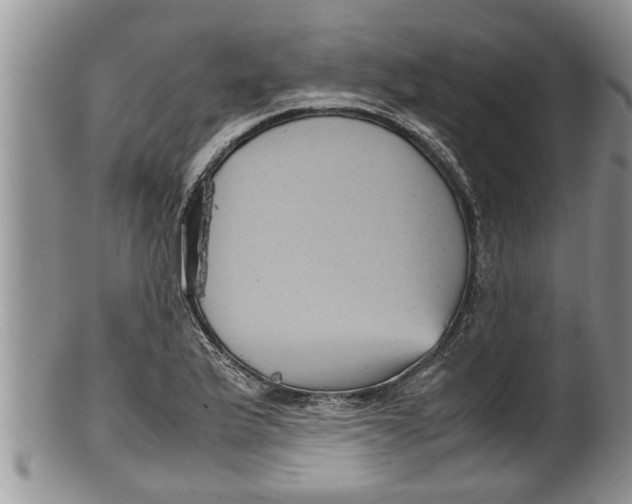 X0000100191175200806201351