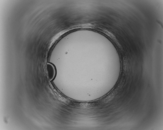 X0000100191176200806201351
