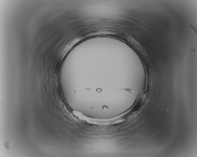 X0000100191177200806201350