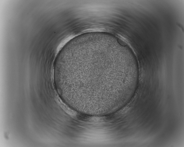 X0000100191179200806201350