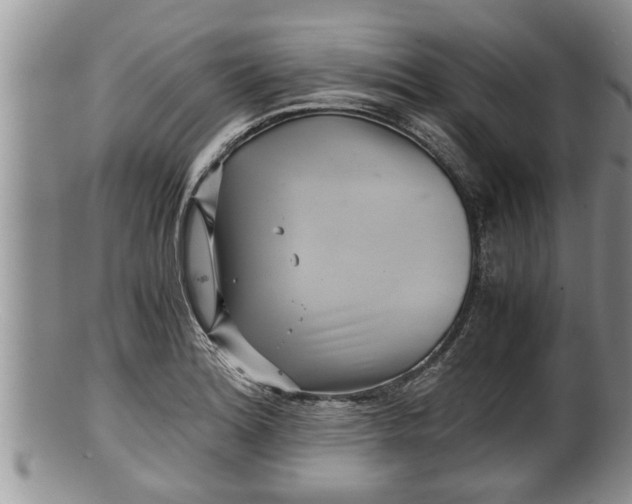 X0000100191180200806201350