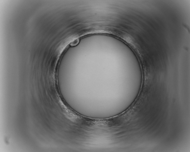 X0000100191181200806201350