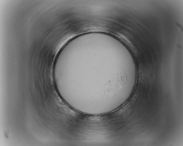 X0000100191182200806201350