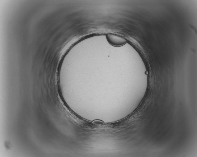X0000100191183200806201350