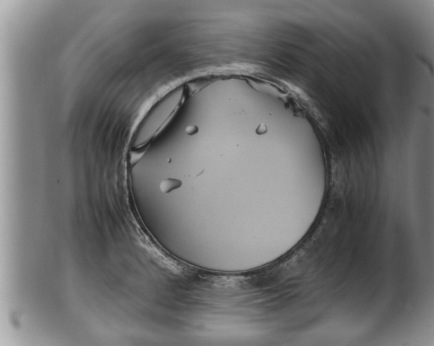 X0000100191184200806201350