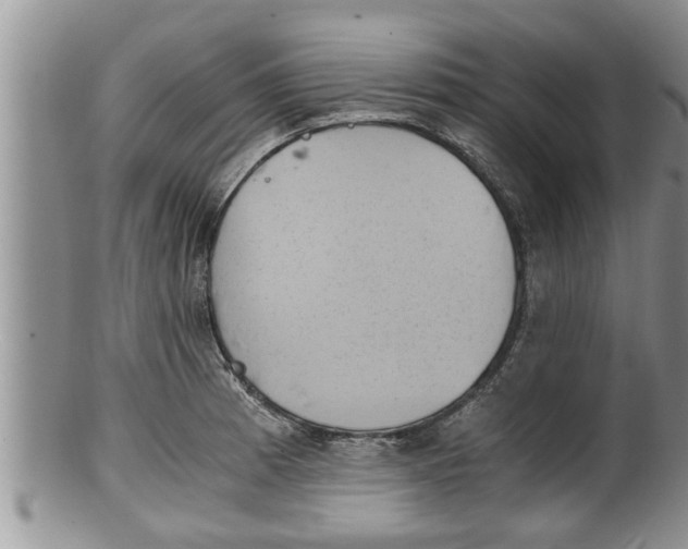 X0000100191185200806201350