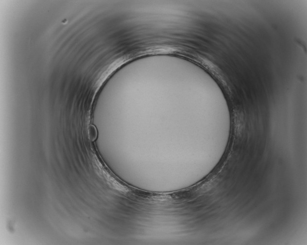 X0000100191186200806201350