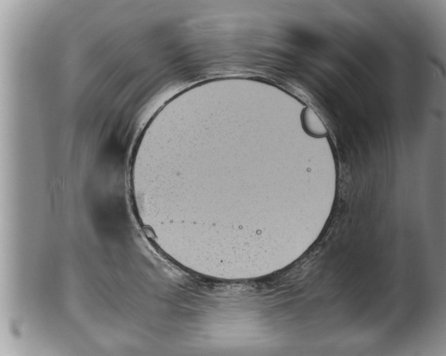 X0000100191187200806201350