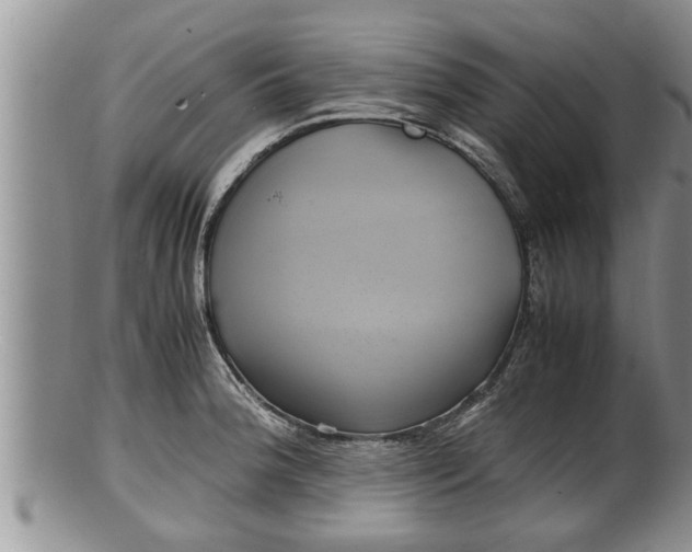 X0000100191188200806201350