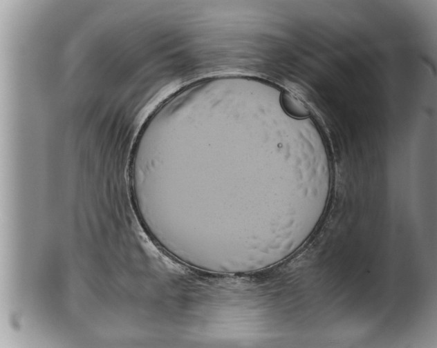 X0000100191189200806201350