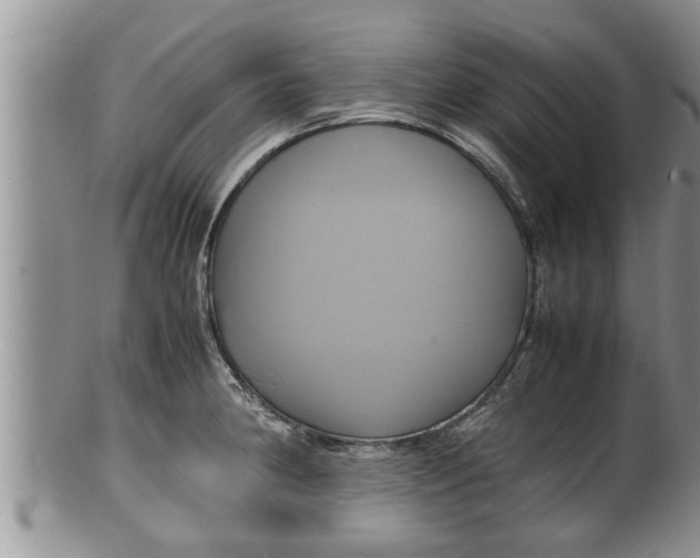 X0000100191190200806201350