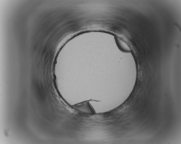 X0000100191191200806201350
