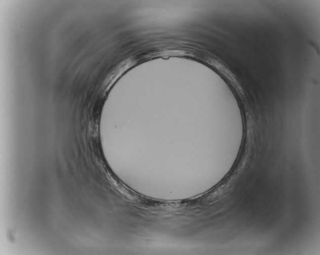 X0000100191193200806201350