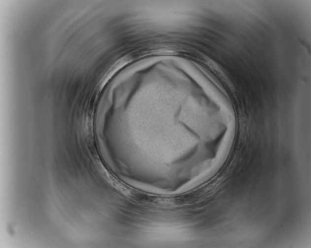 X0000100191194200806201350
