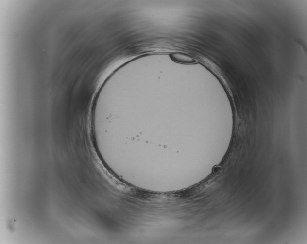 X0000100191195200806201350