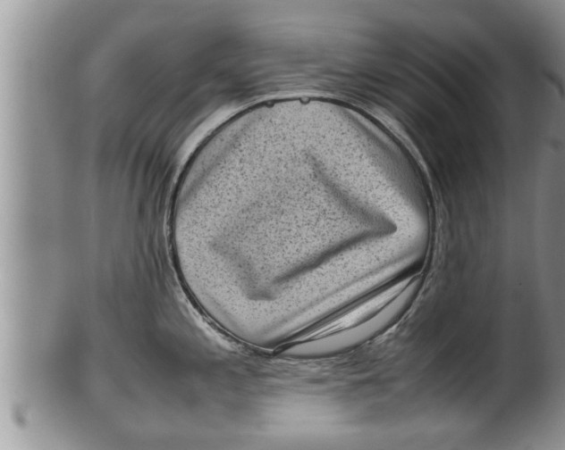 X0000100191197200806201350
