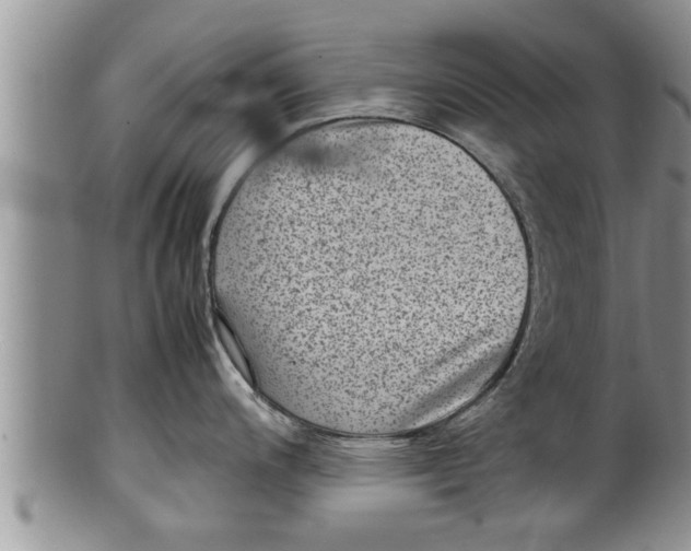 X0000100191200200806201350