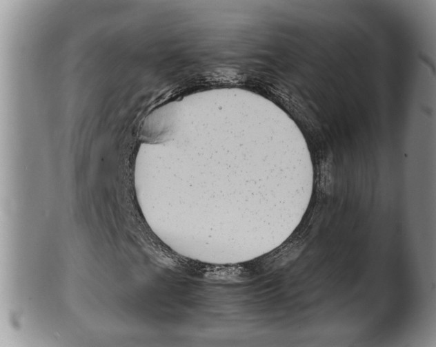 X0000100191201200806201350