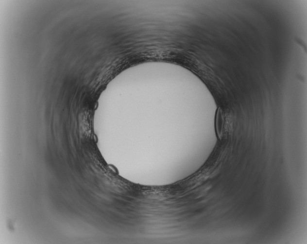 X0000100191202200806201350