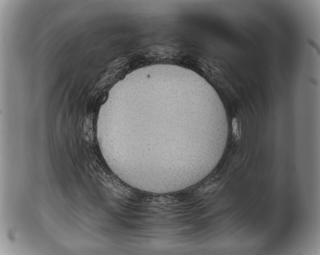 X0000100191203200806201350