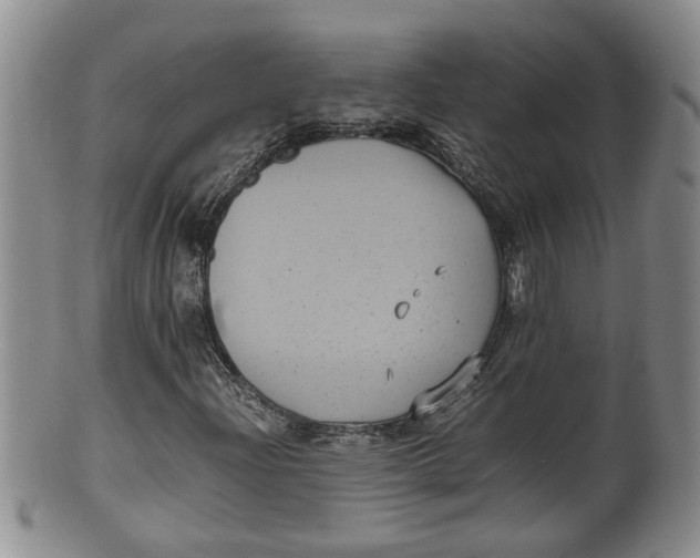 X0000100191204200806201350