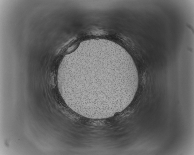 X0000100191205200806201350