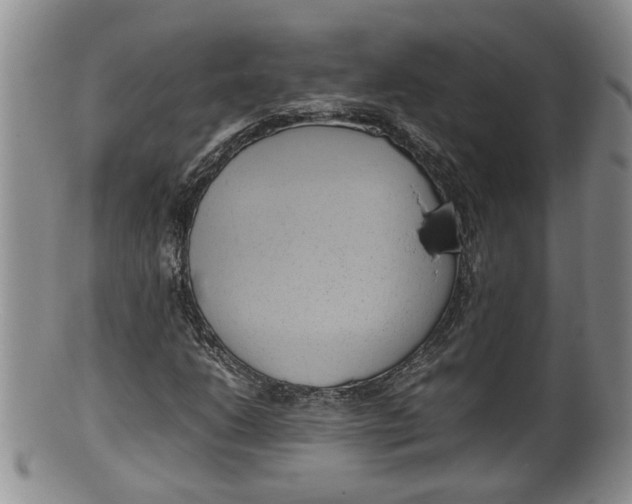 X0000100191206200806201350