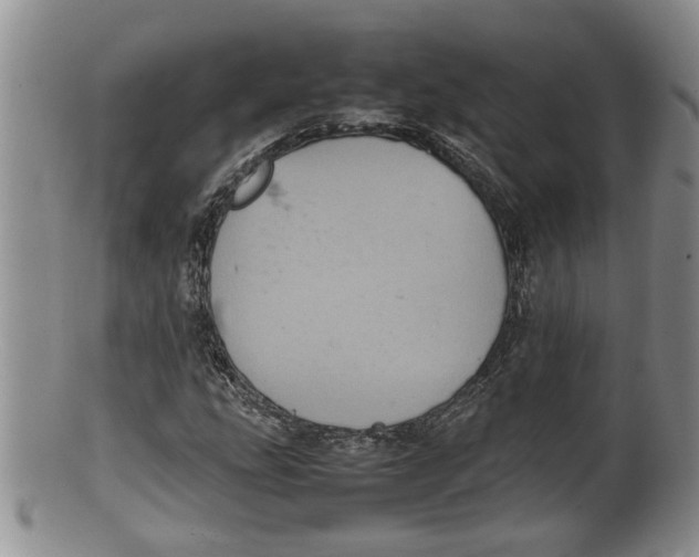 X0000100191207200806201350