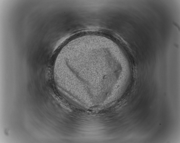X0000100191208200806201350