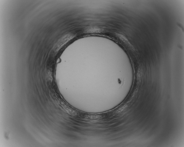 X0000100191209200806201350