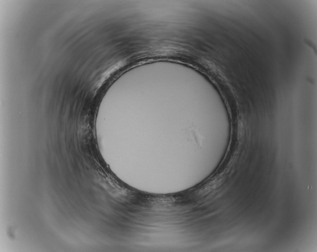 X0000100191210200806201350