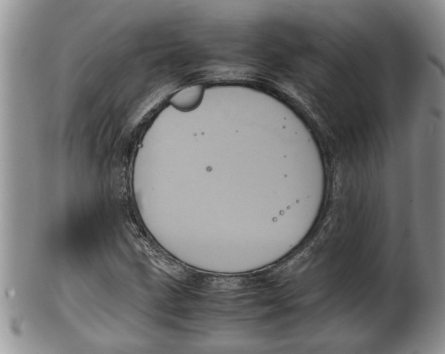 X0000100191211200806201350