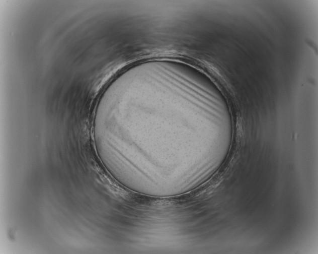 X0000100191212200806201350