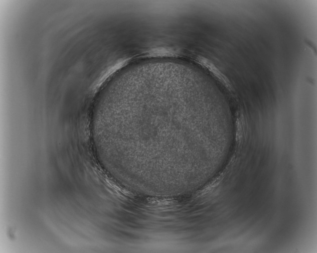 X0000100191213200806201350