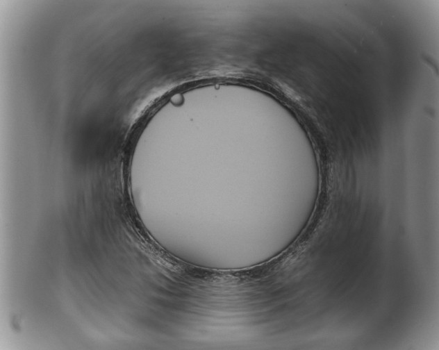 X0000100191214200806201350