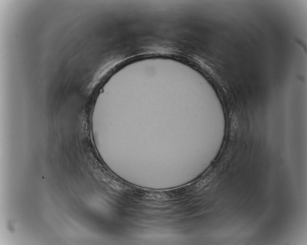 X0000100191215200806201350