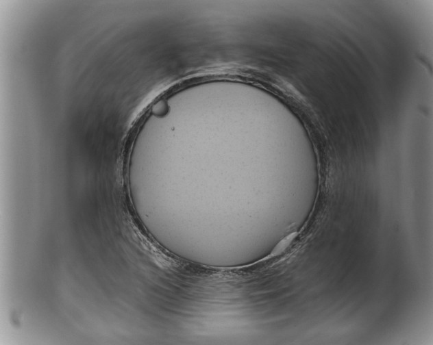 X0000100191216200806201350