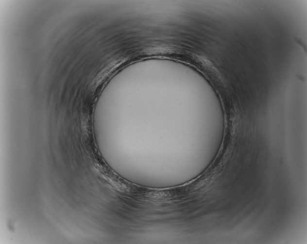 X0000100191217200806201350