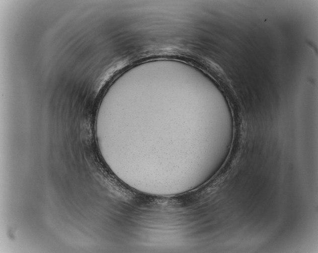 X0000100191218200806201350