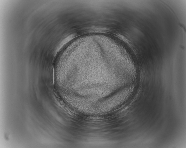 X0000100191219200806201350