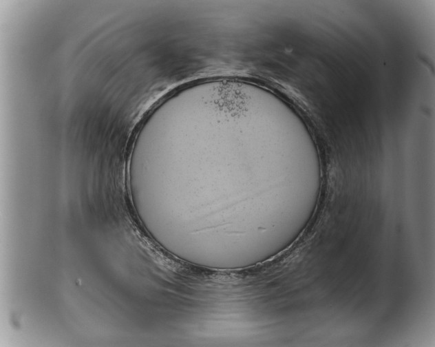 X0000100191220200806201350