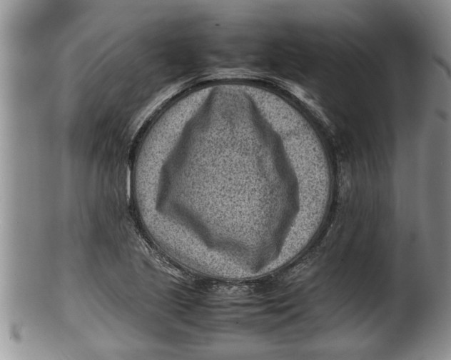 X0000100191221200806201350