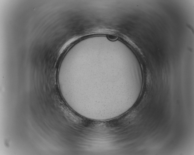 X0000100191222200806201350