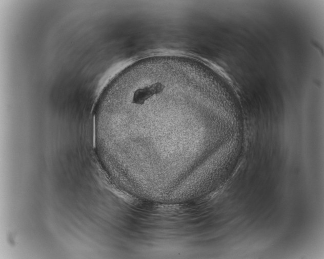 X0000100191223200806201350