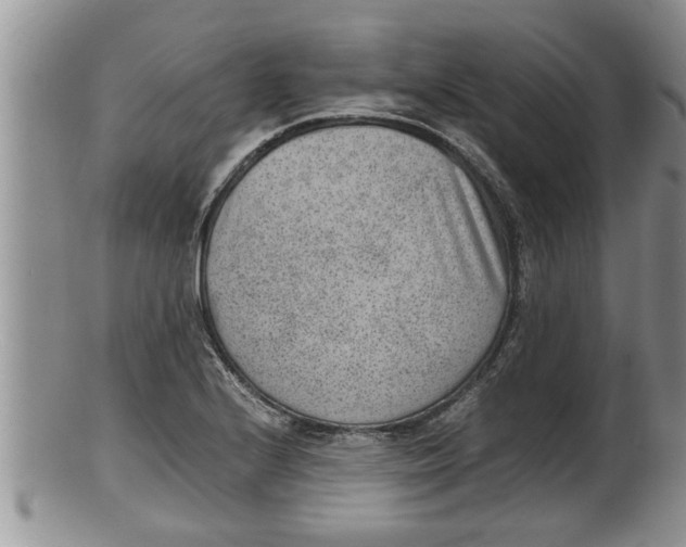 X0000100191224200806201350