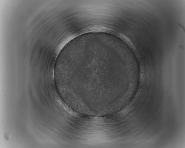 X0000100191226200806201350