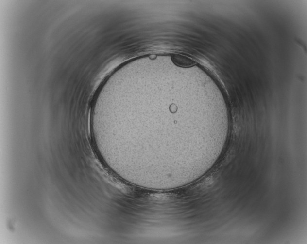 X0000100191227200806201350